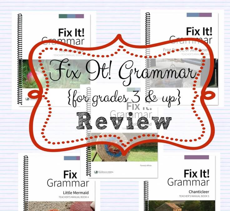Homeschool Grammar Curriculum Fix It! Grammar Review