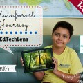 rainforest elementary lesson plans curriculum review