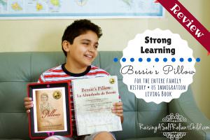 historical fiction books for kids bessies pillow review